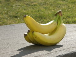 bananas-745437_1280