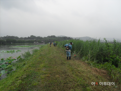 이서면 용강저수지 주변 환경정비
