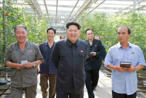 북한 김정은, 평양 채소과학연구소 시찰
