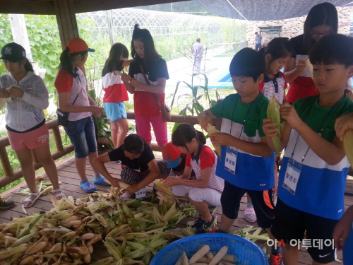 20150728[행정지원과]농촌문화체험(사진-1)