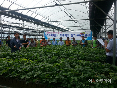 청도지역특화시범사업 평가회개최
