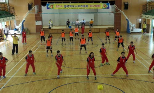 2014경북피구대회