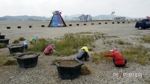 남당항 대하축제 준비