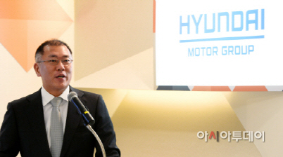 정의선 부회장