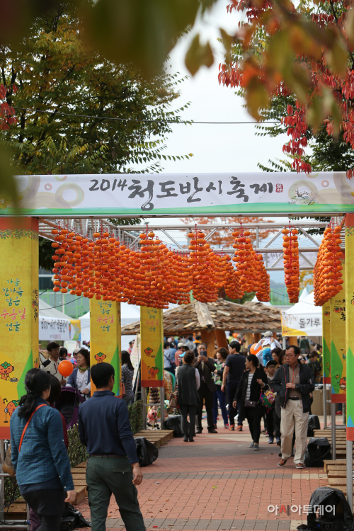 청도반시축제