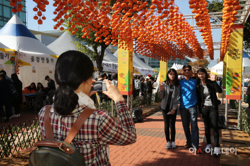 반시축제5