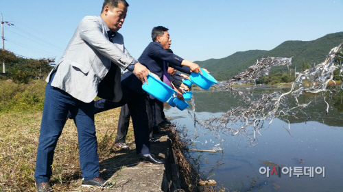 의령 뱀장어 방류