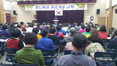 청도반시가공기술교육