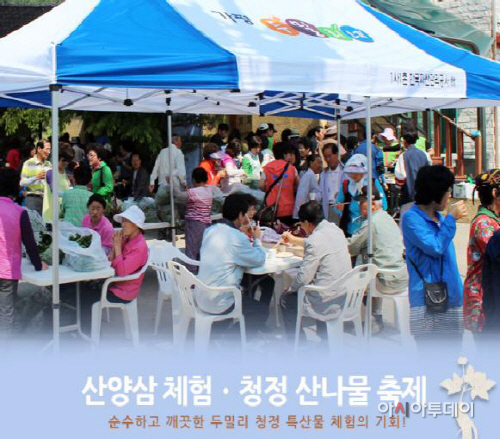 두밀리산양삼축제