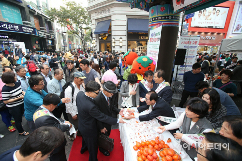청도반시 맛보기행사