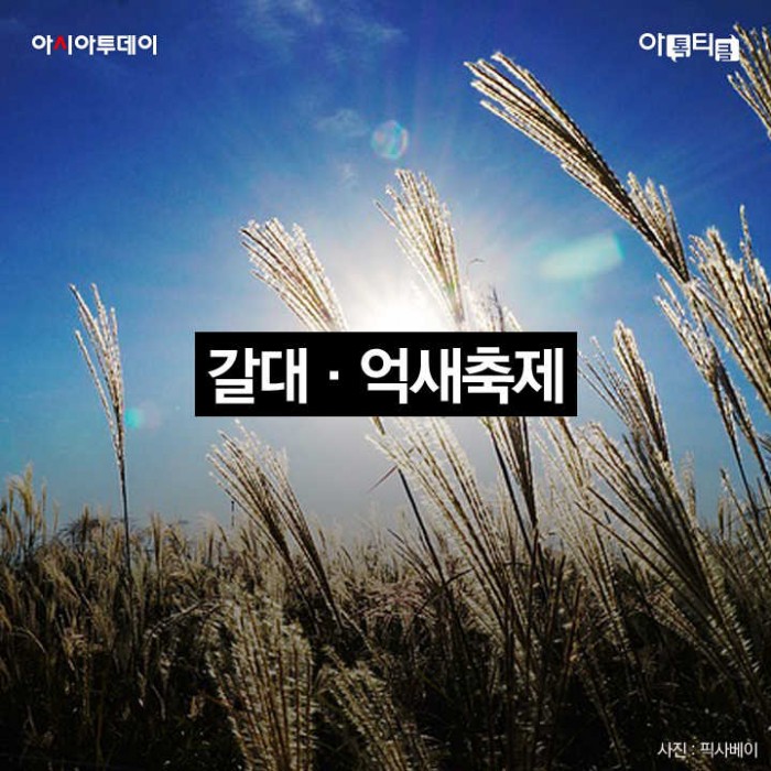 카드 뉴스 이미지