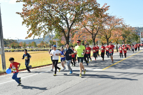 2015 청송사과 전국산악마라톤대회 개최