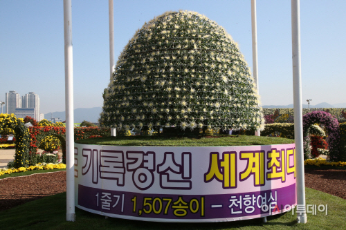 제14회 다륜대작 천향여심 1507송이