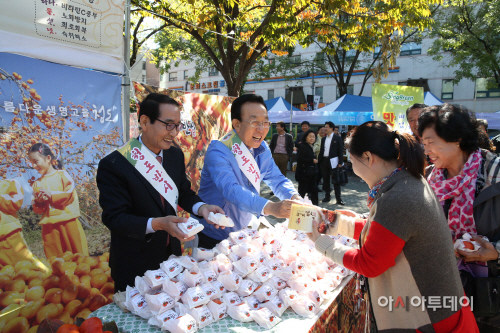 청도반시 맛보기행사