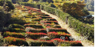 섬이정원 사진