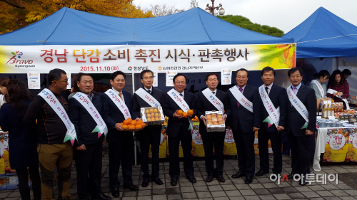단감판촉 사진