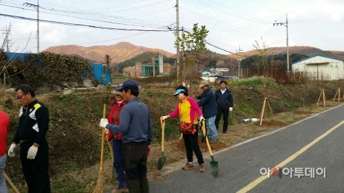 _주민자치위원회_마을가꾸기사업_이팝나무길_조성_
