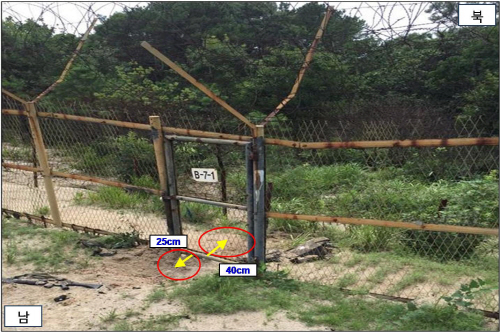비무장지대 지뢰폭발 현장