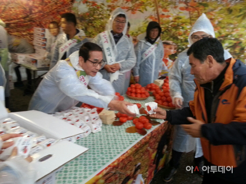 청도반시맛보기행사
