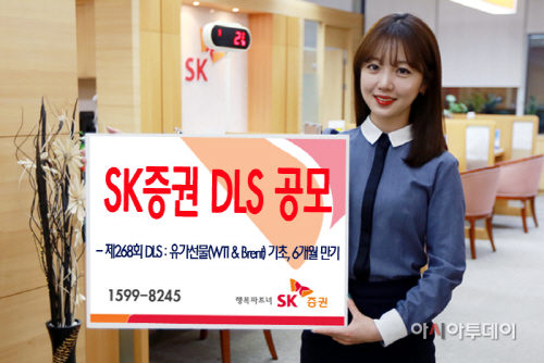 SK증권 6개월 만기 DLS공모_151217