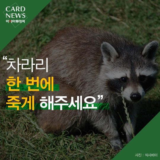 카드 뉴스 이미지