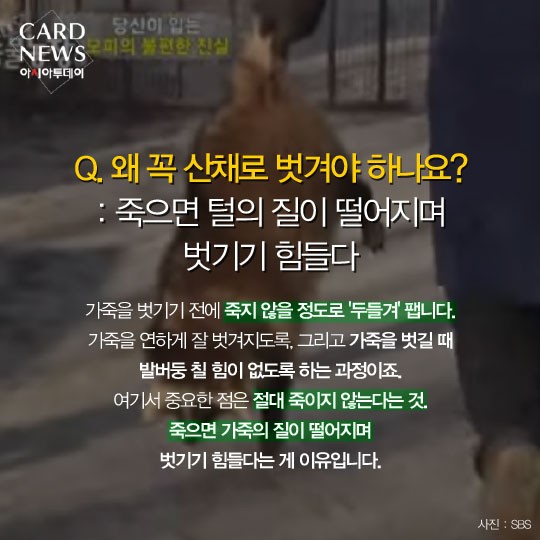 카드 뉴스 이미지