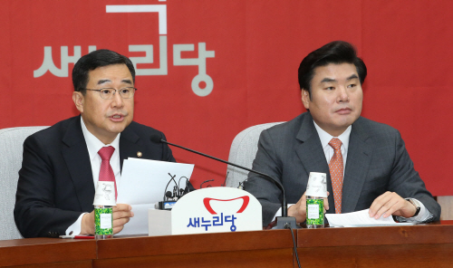 발언하는 김정훈 정책위의장