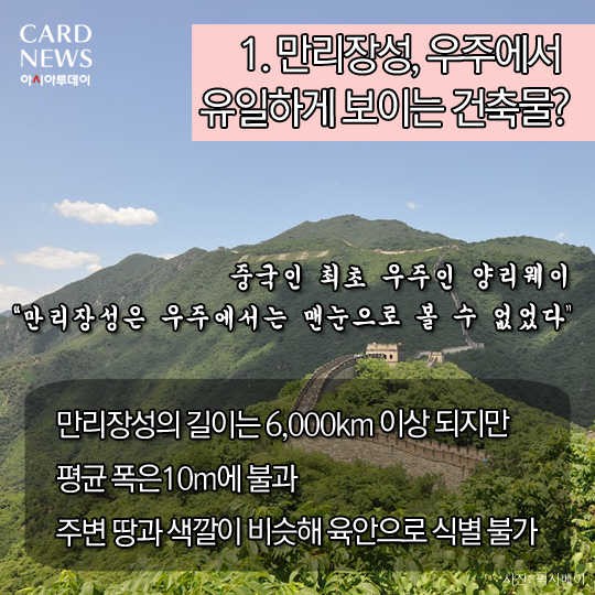 카드 뉴스 이미지