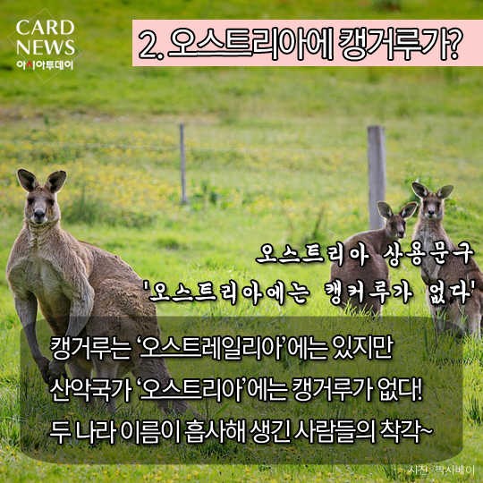 카드 뉴스 이미지