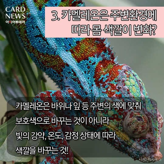 카드 뉴스 이미지