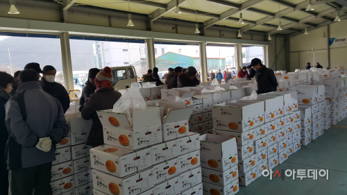 감말랭이 경매종료