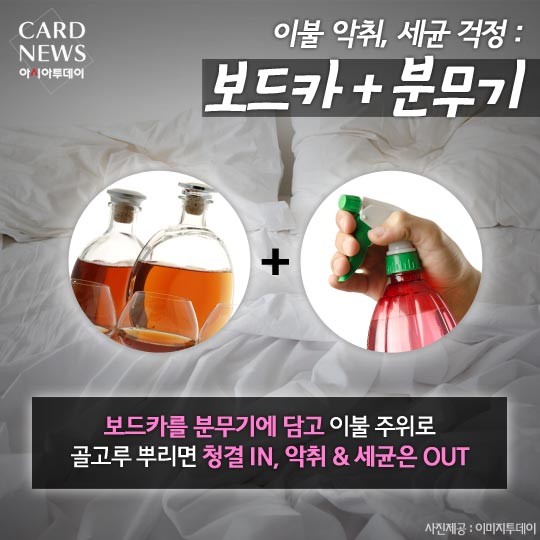 카드 뉴스 이미지