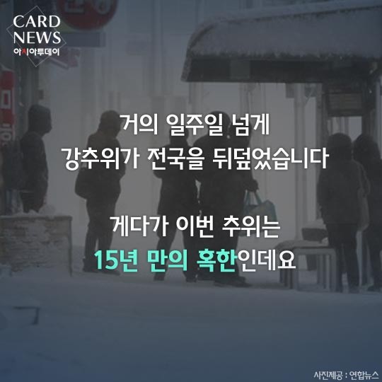 카드 뉴스 이미지