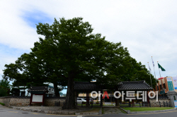 홍주아문 (3)