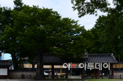 홍주아문 (4)