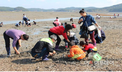 (서산)0217서산갯마을 뻘낙지 축제