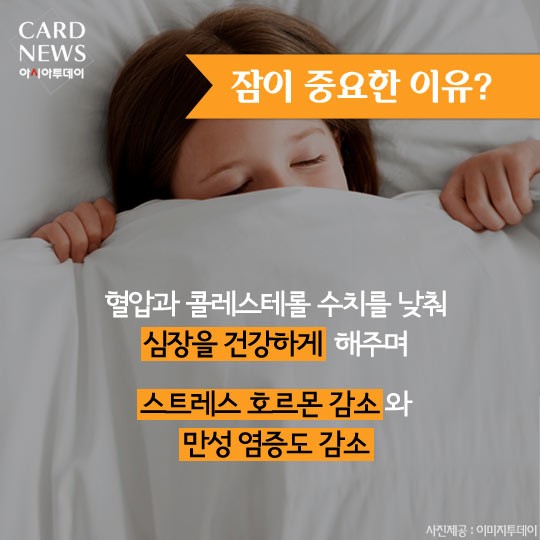 카드 뉴스 이미지