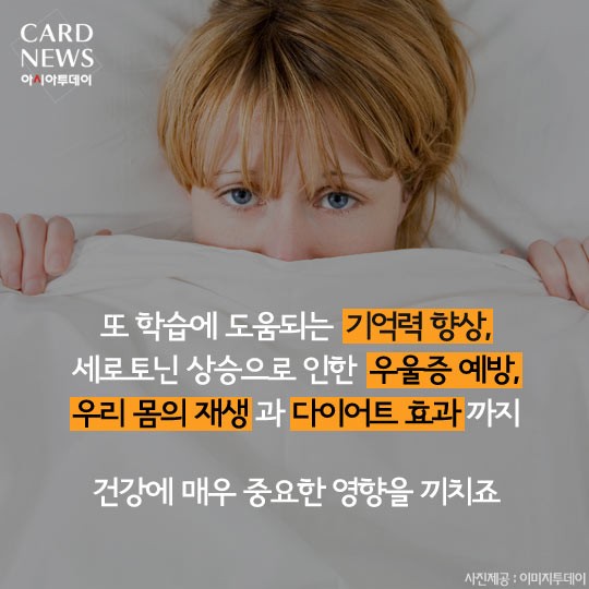 카드 뉴스 이미지