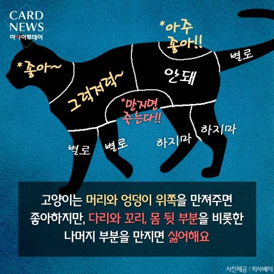 카드 뉴스 이미지