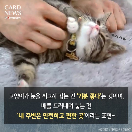 카드 뉴스 이미지