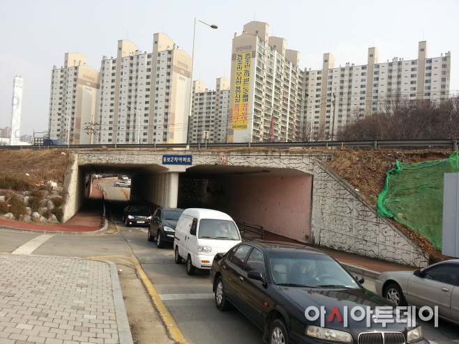 폐도