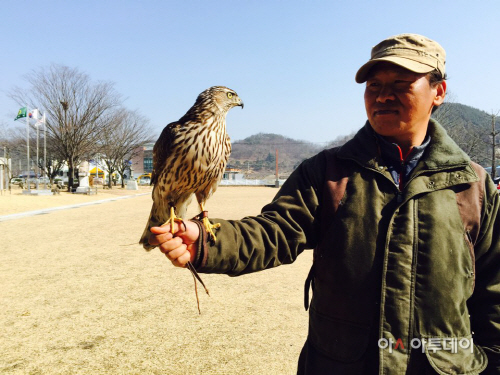 매사냥시연회 개최