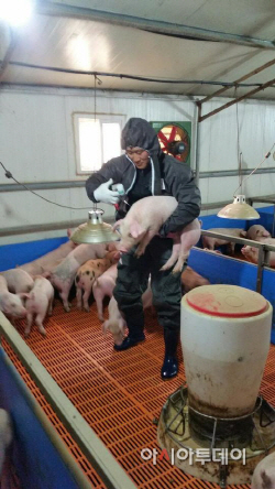 1. 축산농가 백신 접종 장면