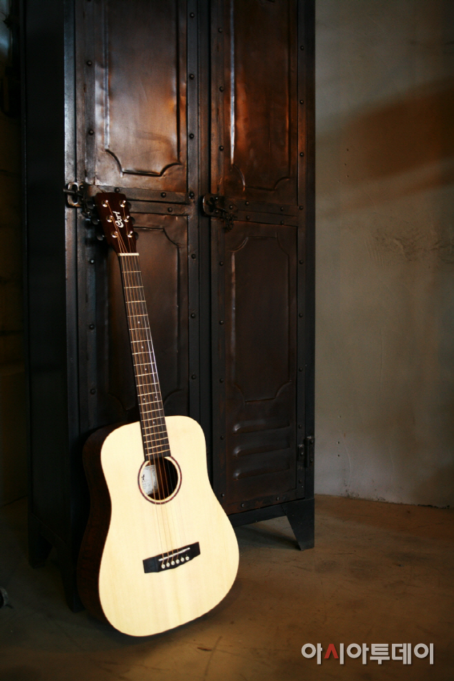 EARTH MINI F ADIRONDACK (2)