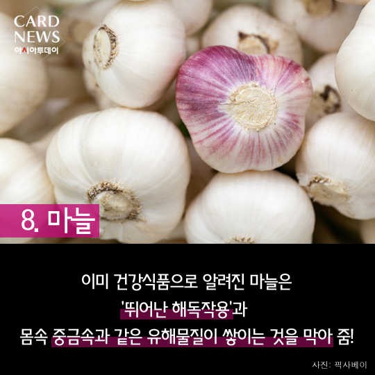 카드 뉴스 이미지