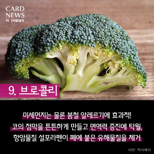 카드 뉴스 이미지