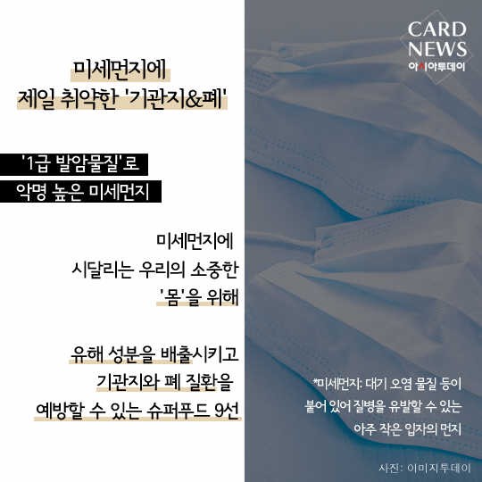 카드 뉴스 이미지