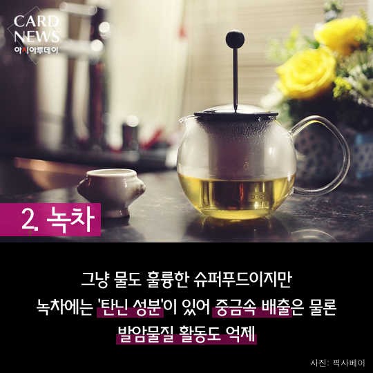 카드 뉴스 이미지