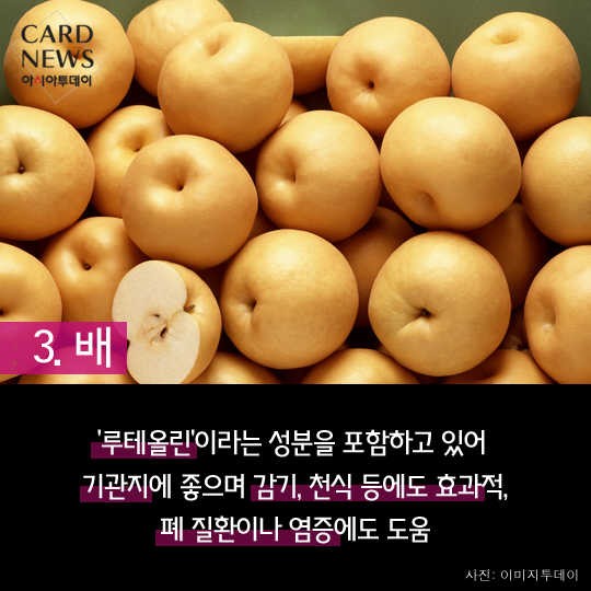 카드 뉴스 이미지