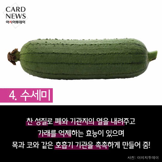 카드 뉴스 이미지